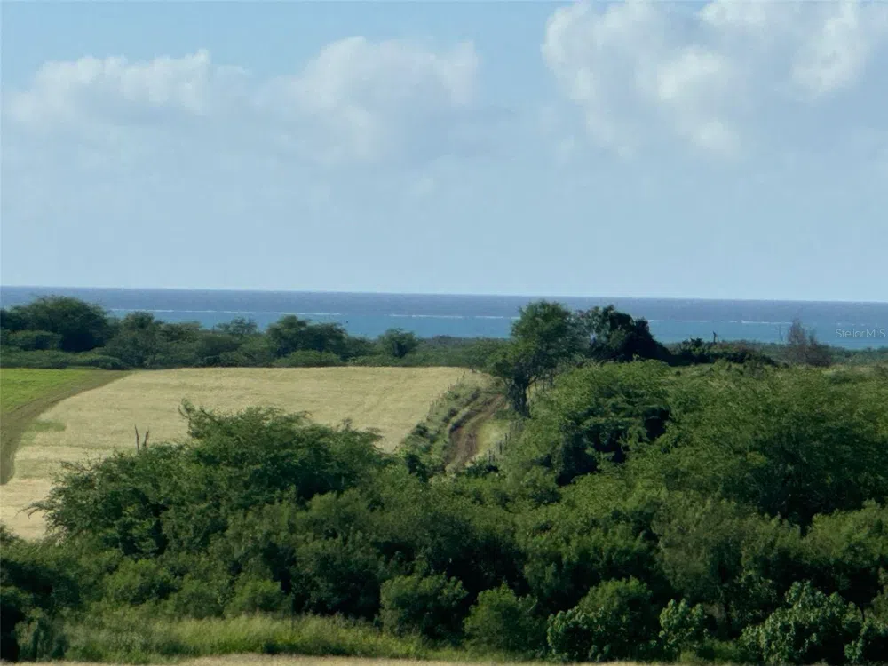 BO. LLANOS COSTA SOLAR 7 Cabo Rojo, PR 00623