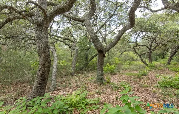 12 PR 4061 Edna, TX 77957