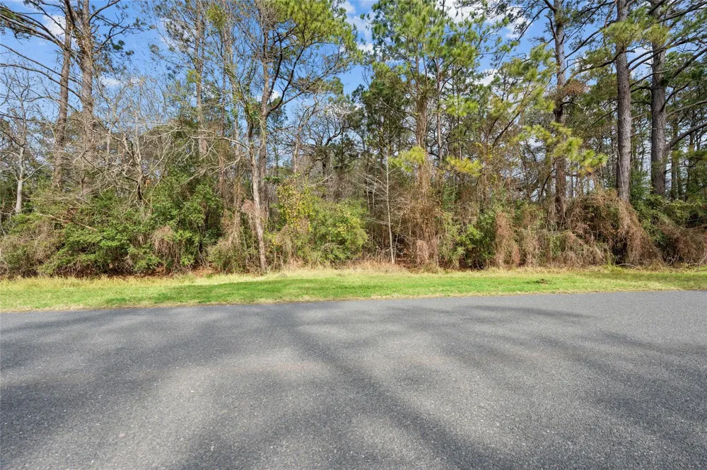 Lake Charlotte Road Wallisville, TX 77597