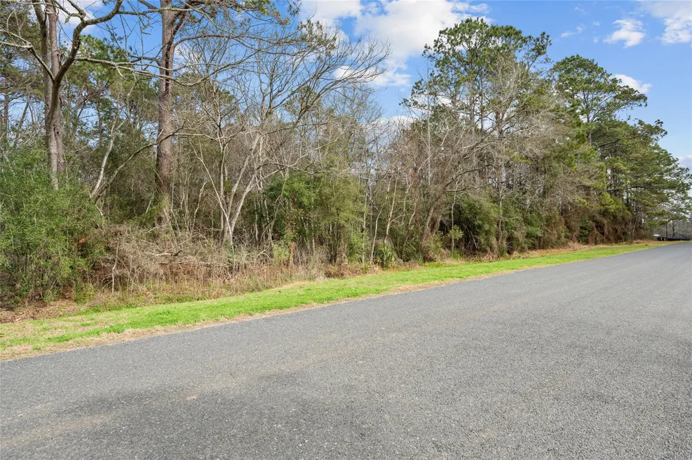 Lake Charlotte Road Wallisville, TX 77597