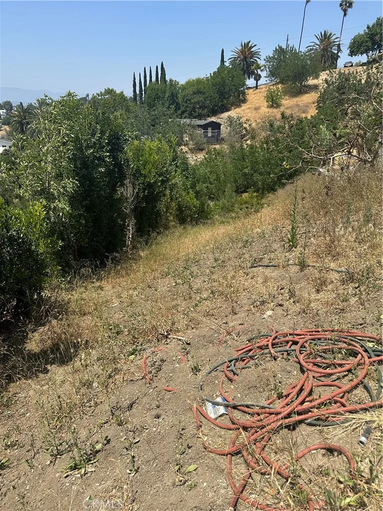 4127 Telluride Los Angeles, CA 90032