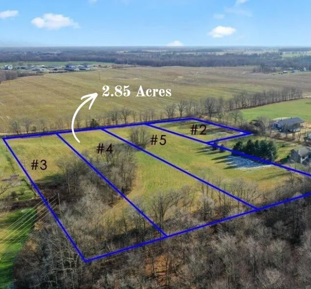 Parcel 4 Kingston Road Ionia, MI 48846