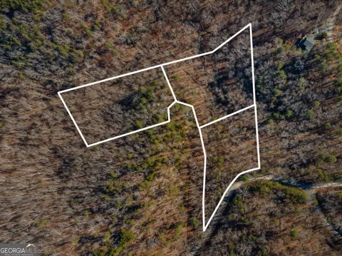 4.78 AC Bell CT