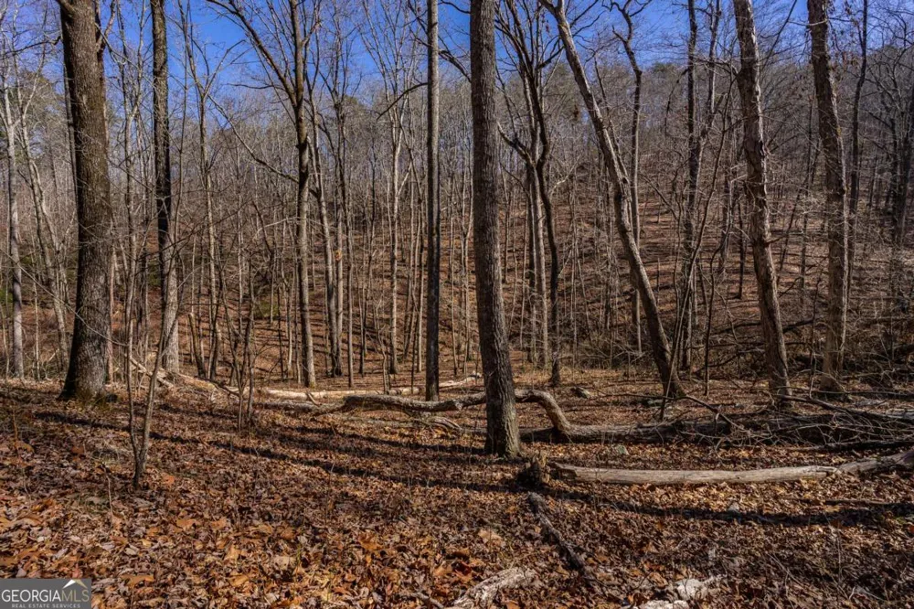 4.78 AC Bell CT Ranger, GA 30734