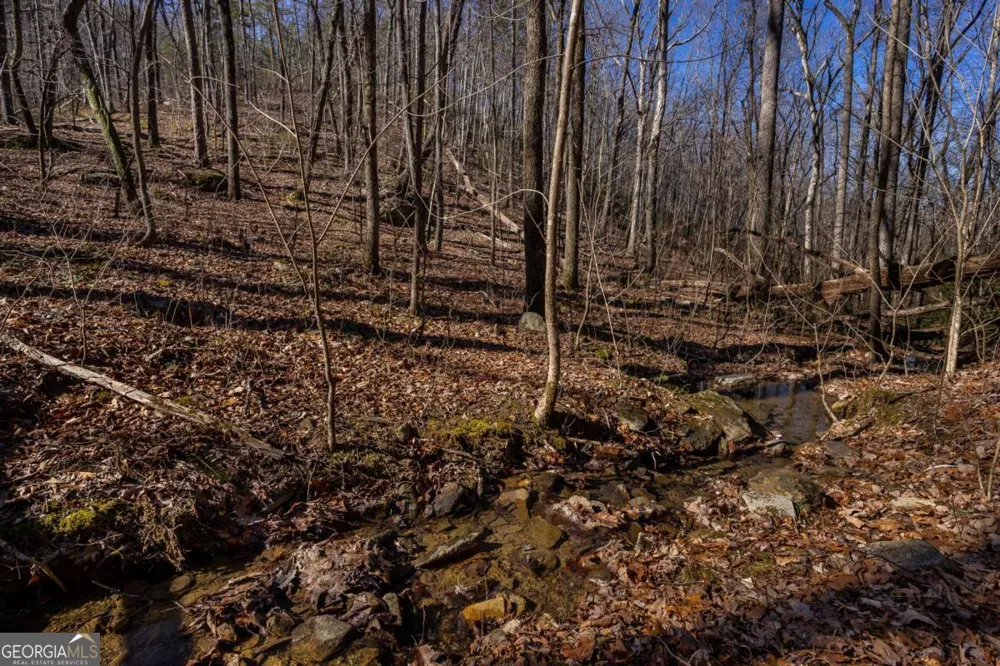 4.78 AC Bell CT Ranger, GA 30734