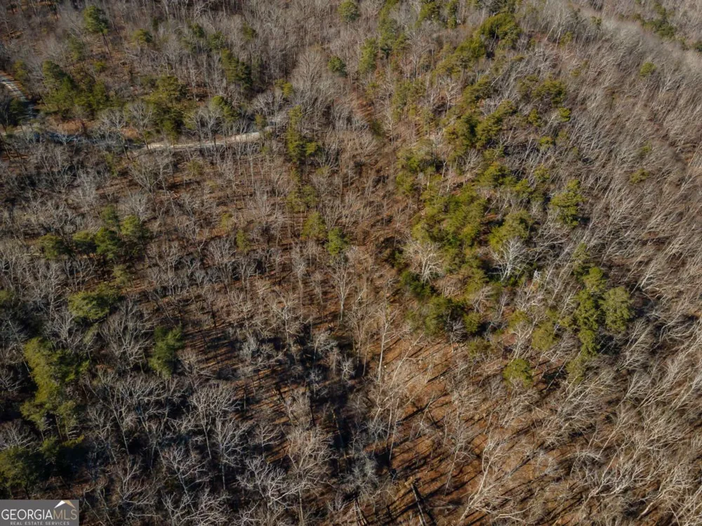 4.78 AC Bell CT Ranger, GA 30734