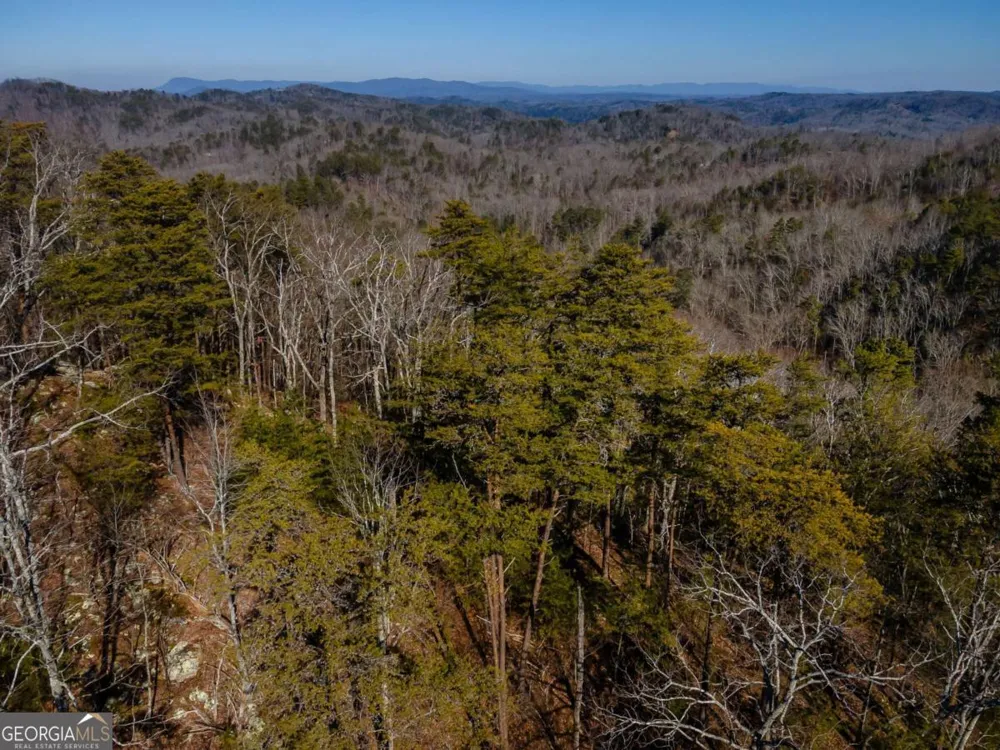 4.78 AC Bell CT Ranger, GA 30734