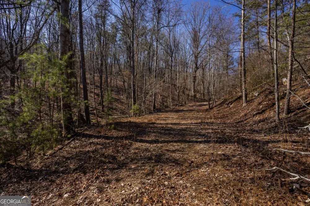4.78 AC Bell CT Ranger, GA 30734