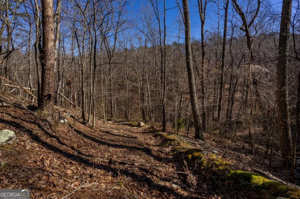4.78 AC Bell CT Ranger, GA 30734