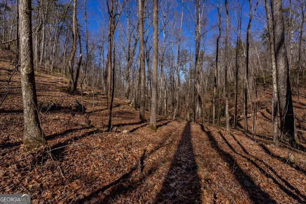 4.78 AC Bell CT Ranger, GA 30734
