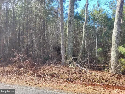 0 BOGEY NECK RD