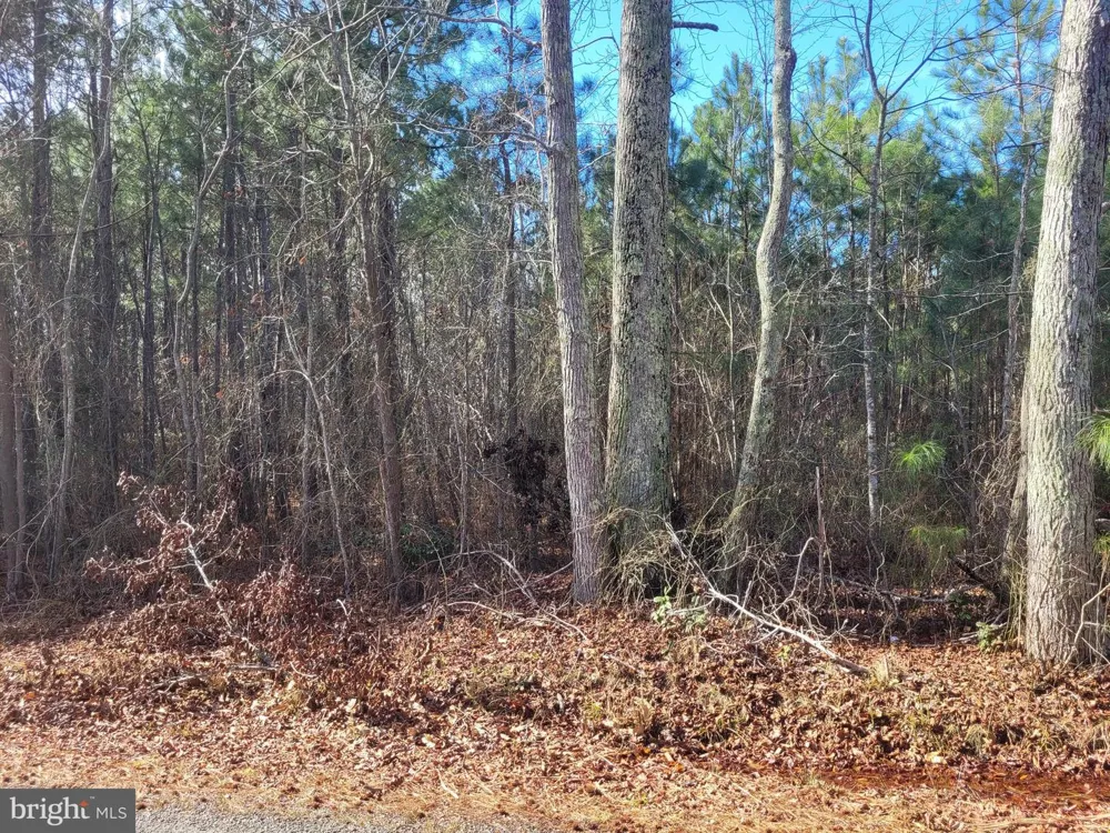 0 BOGEY NECK RD Heathsville, VA 22473
