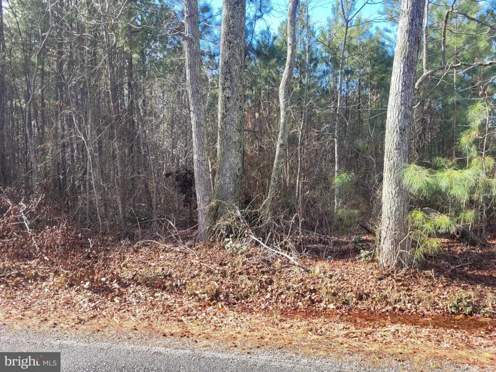0 BOGEY NECK RD Heathsville, VA 22473