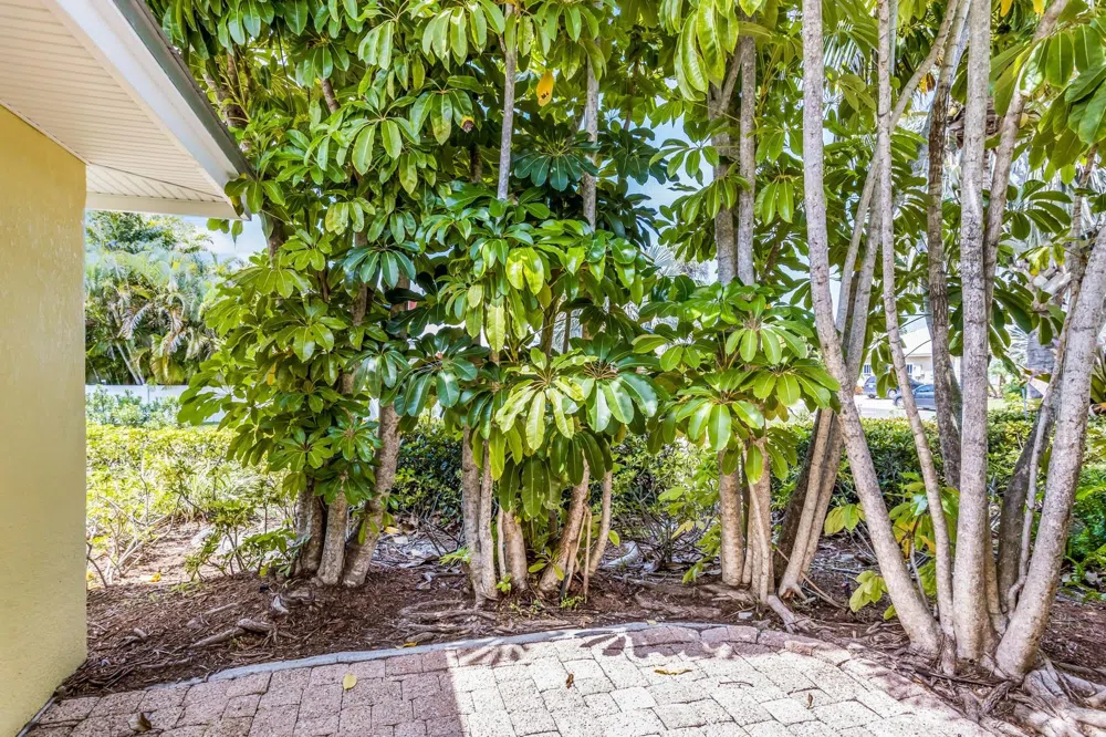 6606 HOLMES BOULEVARD #3 Holmes Beach, FL 34217