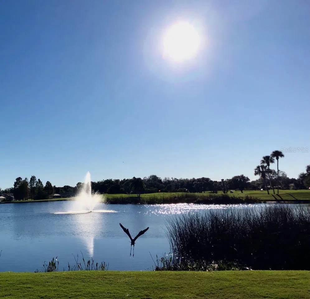 6713 STONE RIVER ROAD #206 Bradenton, FL 34203