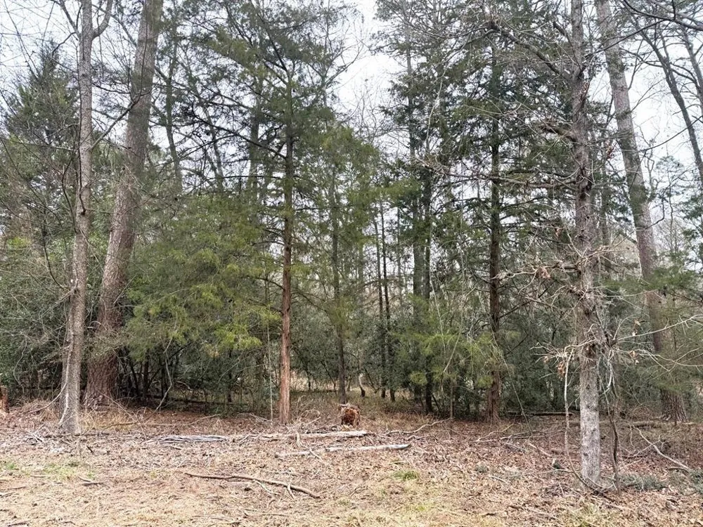 Brazos Bend Holly Lake Ranch, TX 75765