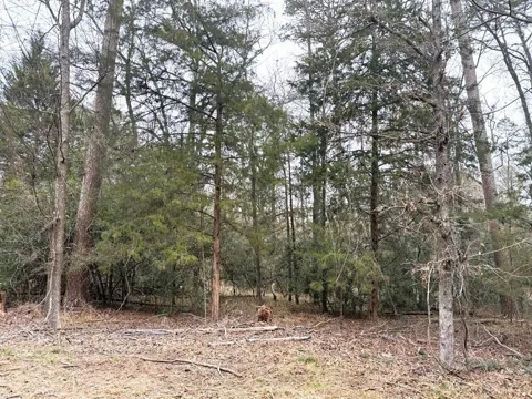 Brazos Bend