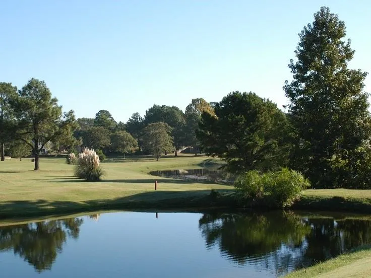 Brazos Bend Holly Lake Ranch, TX 75765