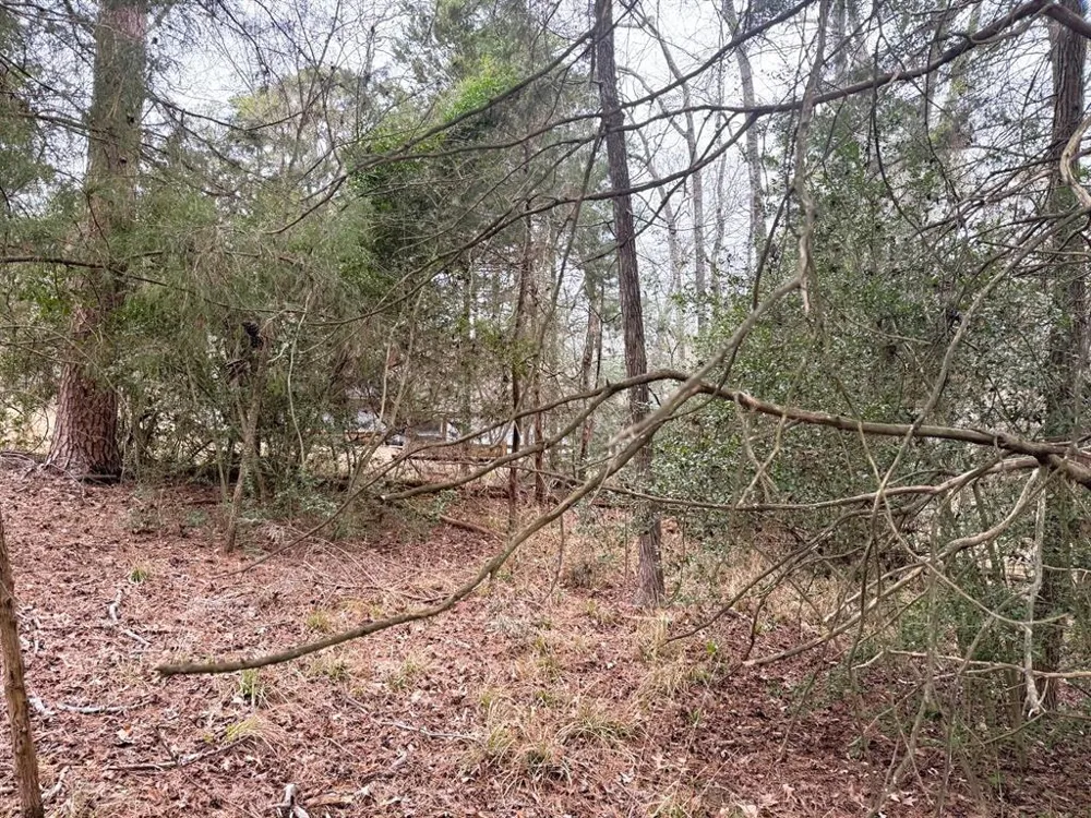 Brazos Bend Holly Lake Ranch, TX 75765