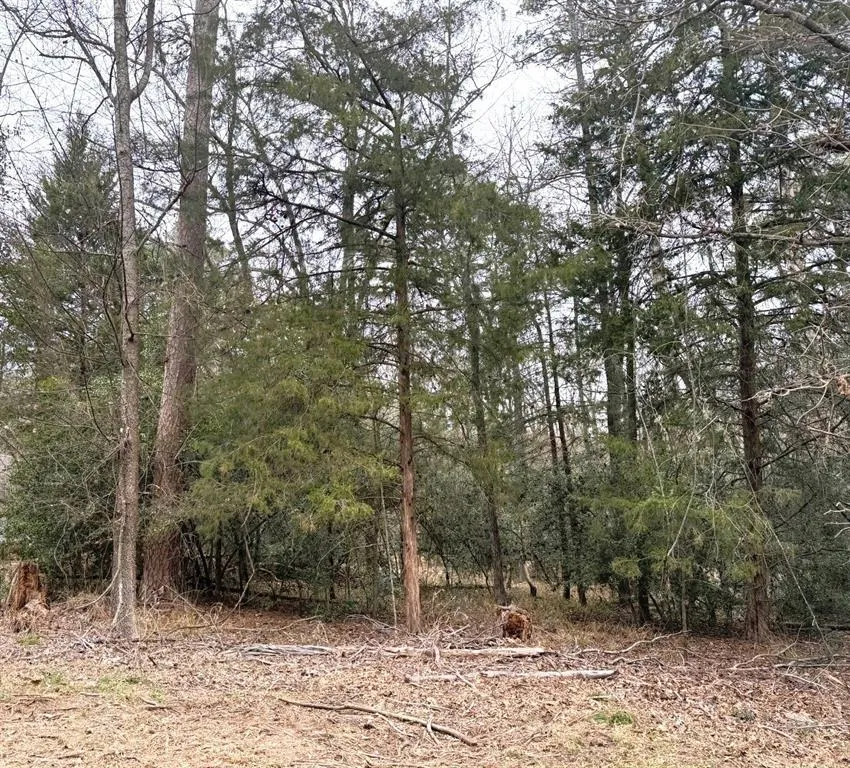 Brazos Bend Holly Lake Ranch, TX 75765