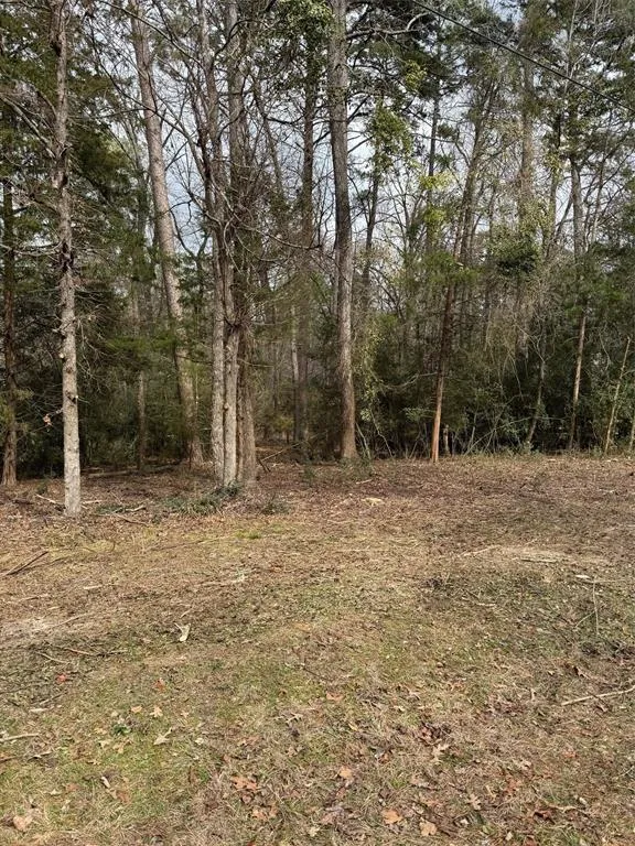 Brazos Bend Holly Lake Ranch, TX 75765