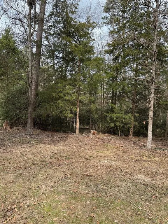 Brazos Bend Holly Lake Ranch, TX 75765