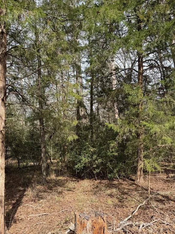 Brazos Bend Holly Lake Ranch, TX 75765