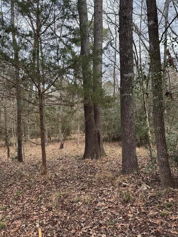Brazos Bend Holly Lake Ranch, TX 75765