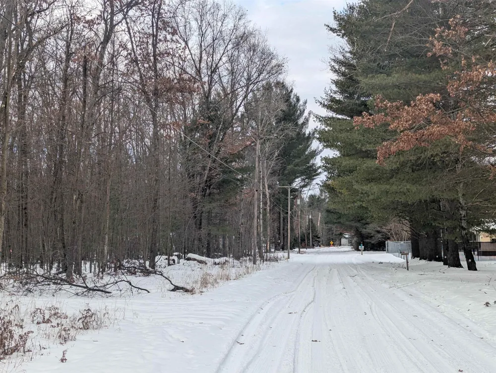 Georgia Edna Lane Mills Township, MI 48756