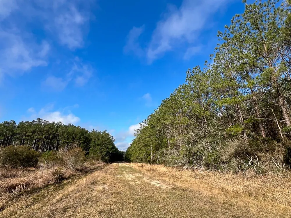 Highway 12/ Linscomb Road Vidor, TX 77662