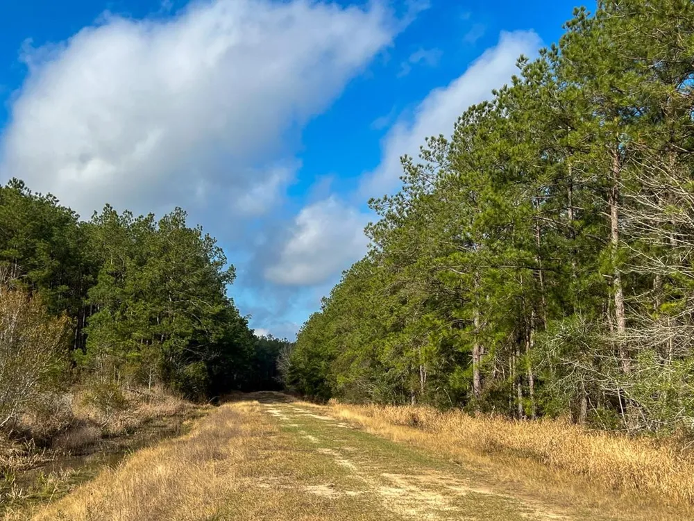 Highway 12/ Linscomb Road Vidor, TX 77662