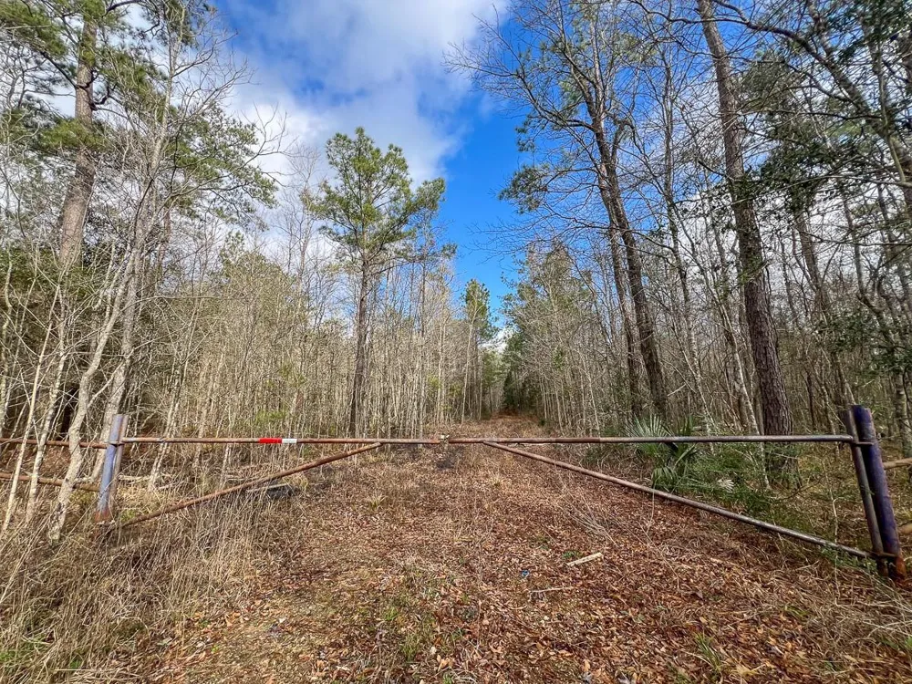 Highway 12/ Linscomb Road Vidor, TX 77662