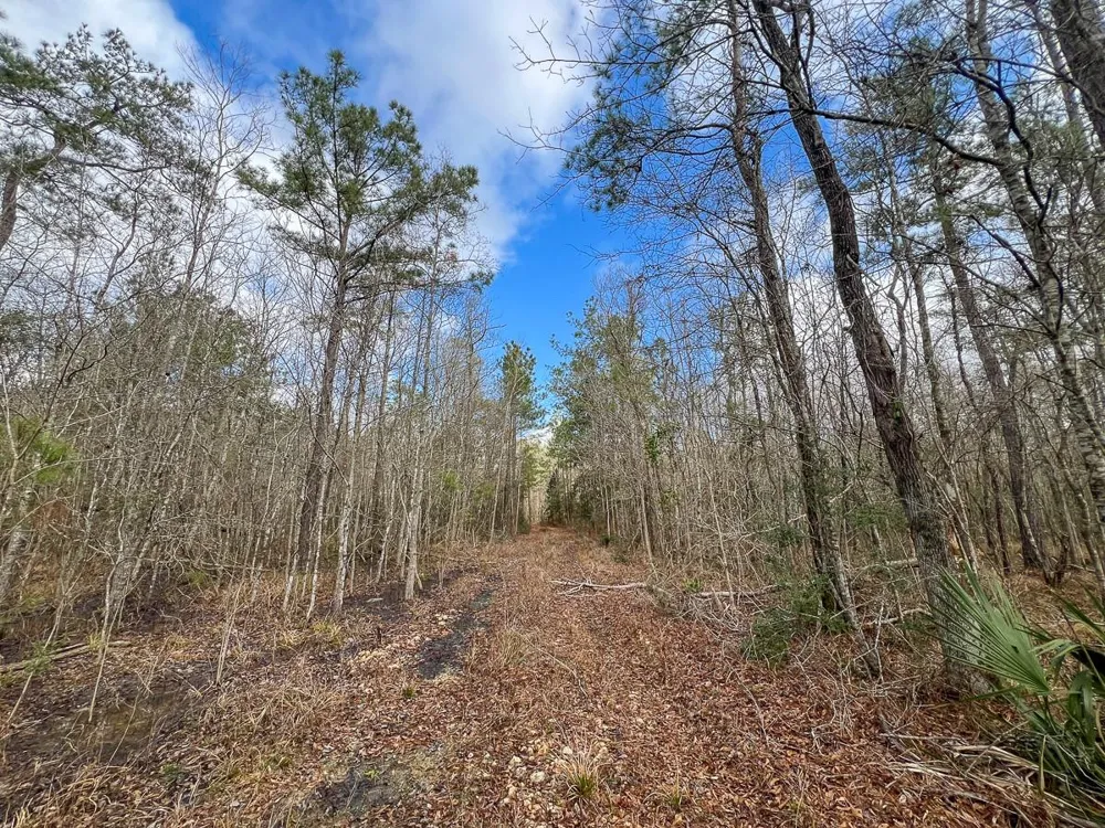 Highway 12/ Linscomb Road Vidor, TX 77662