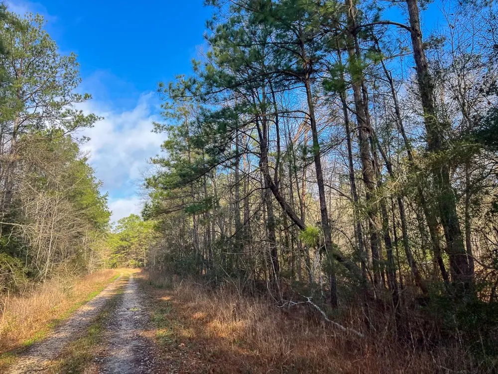 Highway 12/ Linscomb Road Vidor, TX 77662