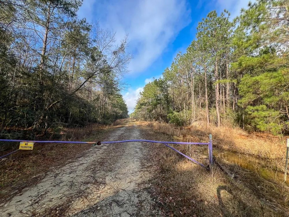 Highway 12/ Linscomb Road Vidor, TX 77662