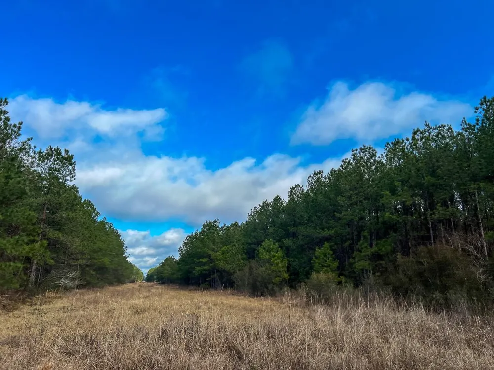 Highway 12/ Linscomb Road Vidor, TX 77662