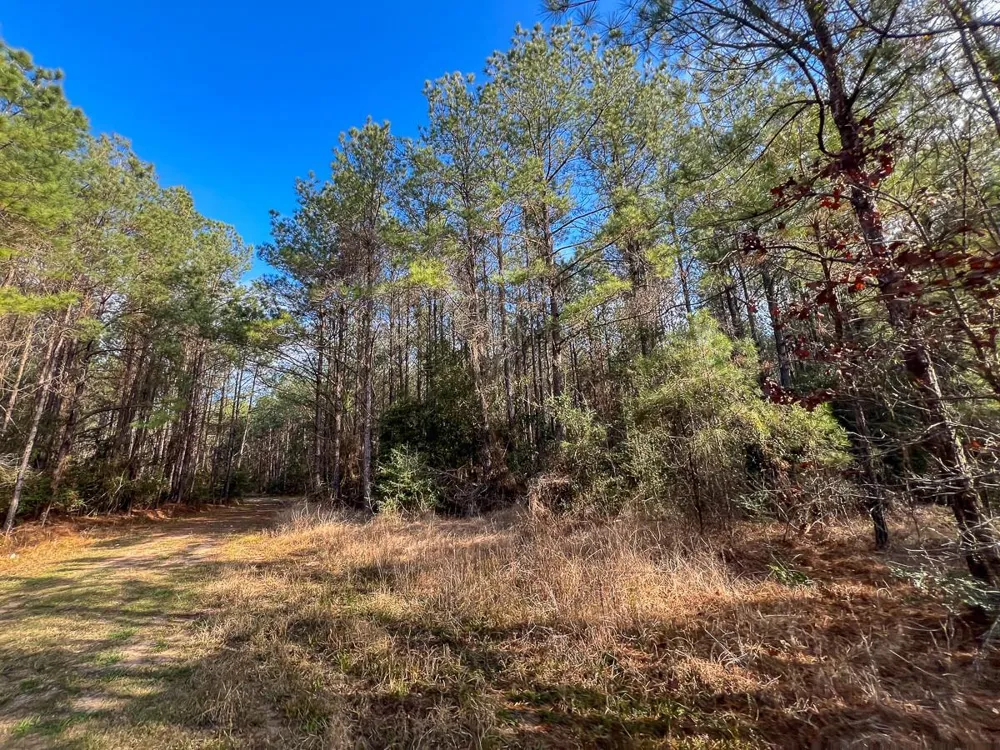 Highway 12/ Linscomb Road Vidor, TX 77662