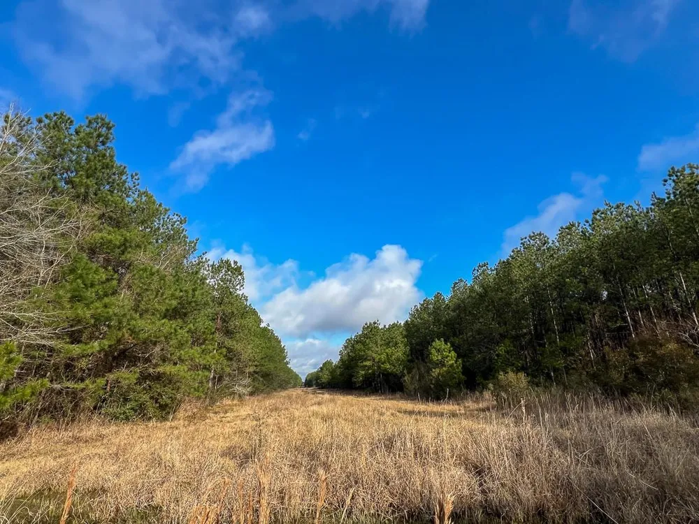 Highway 12/ Linscomb Road Vidor, TX 77662