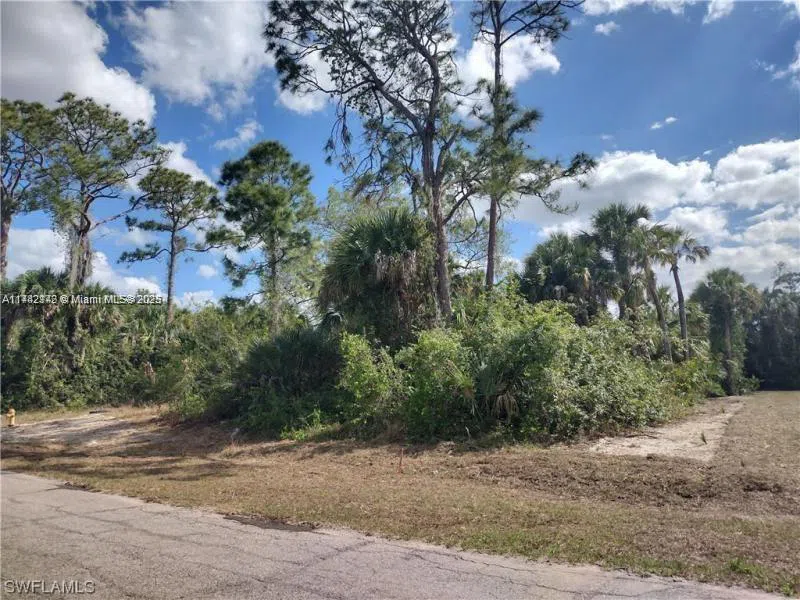 5003 E HUMMINGBIRD DR La Belle, FL 33935
