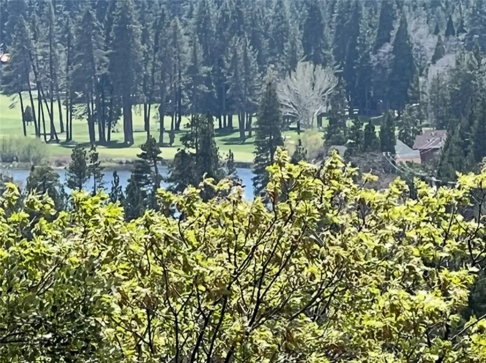Grass Valley Road Lake Arrowhead, CA 92352