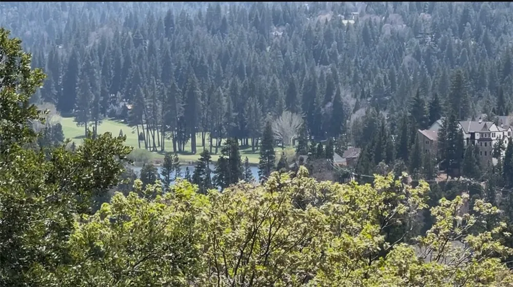 Grass Valley Road Lake Arrowhead, CA 92352