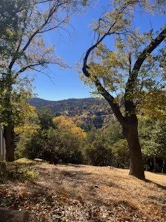 Grass Valley Road Lake Arrowhead, CA 92352