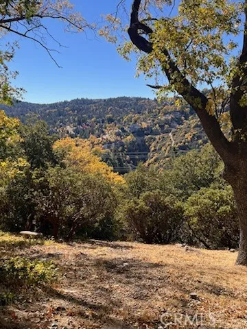 Grass Valley Road
