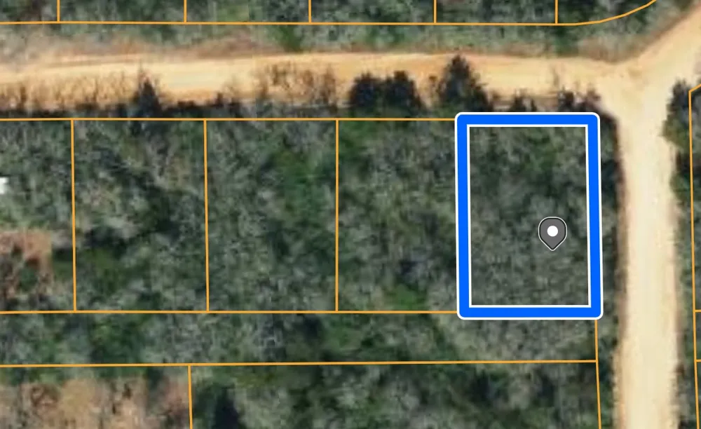 Navarro Drive Hilltop Lakes, TX 77871