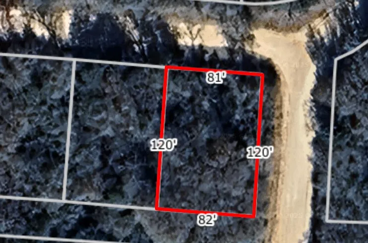 Navarro Drive Hilltop Lakes, TX 77871