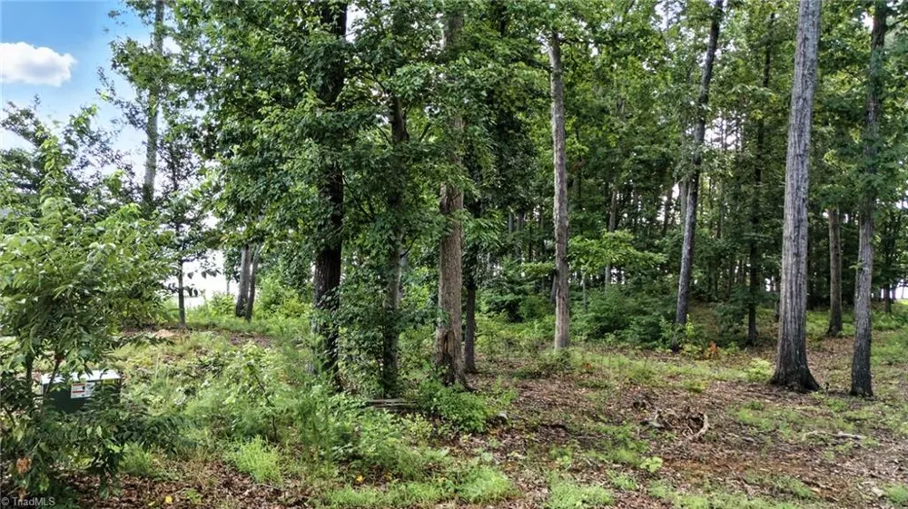 245 Sailors Rest Drive Lexington, NC 27292