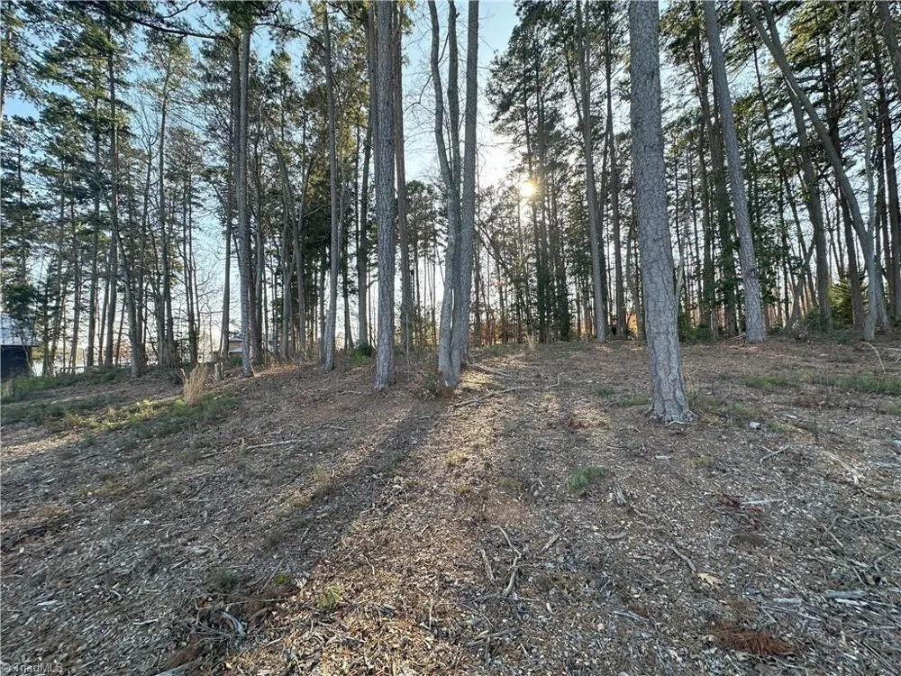 219 Sailors Rest Drive Lexington, NC 27292