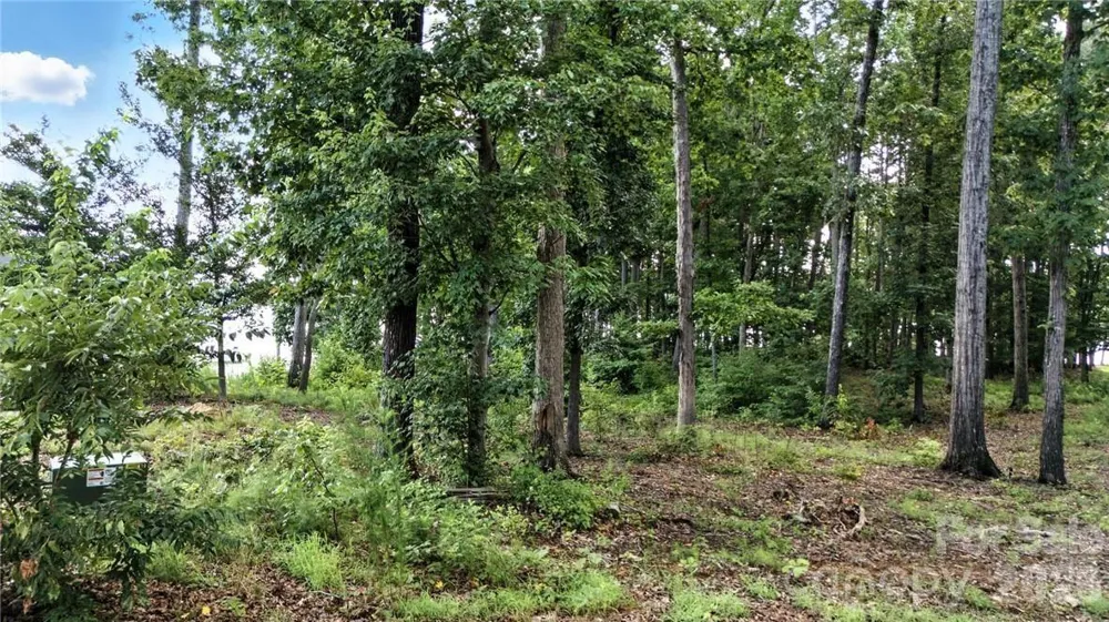 245 Sailors Rest Drive Lexington, NC 27292