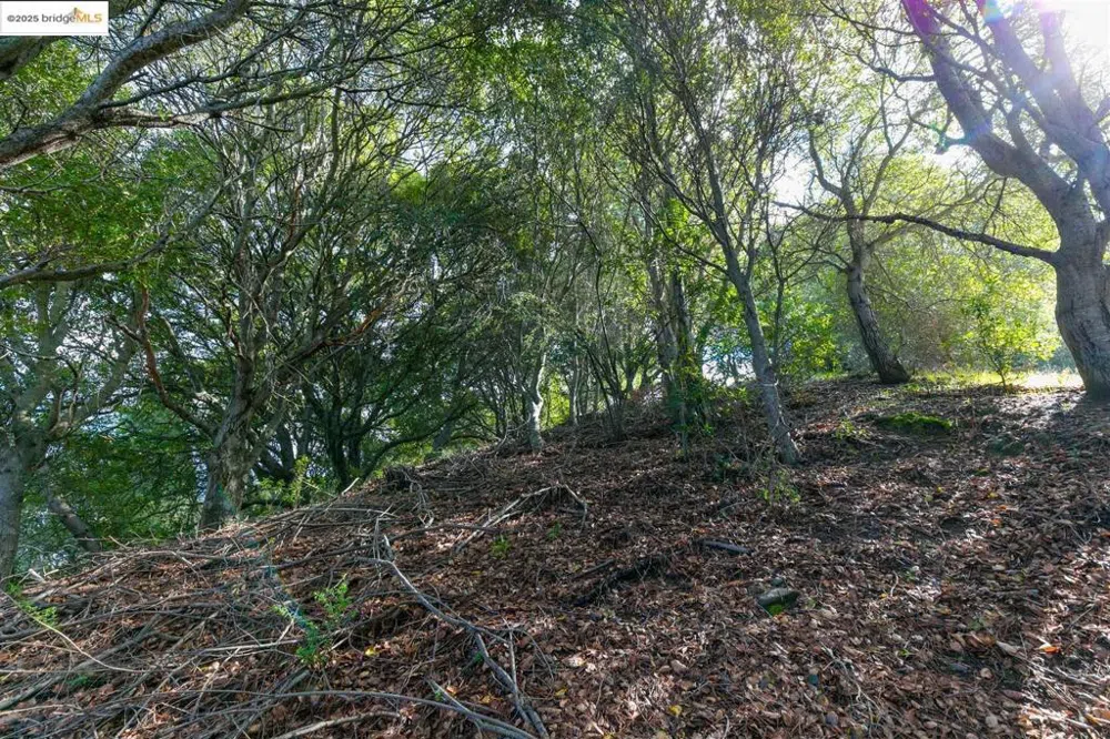 26 Lucille Way Orinda, CA 94563