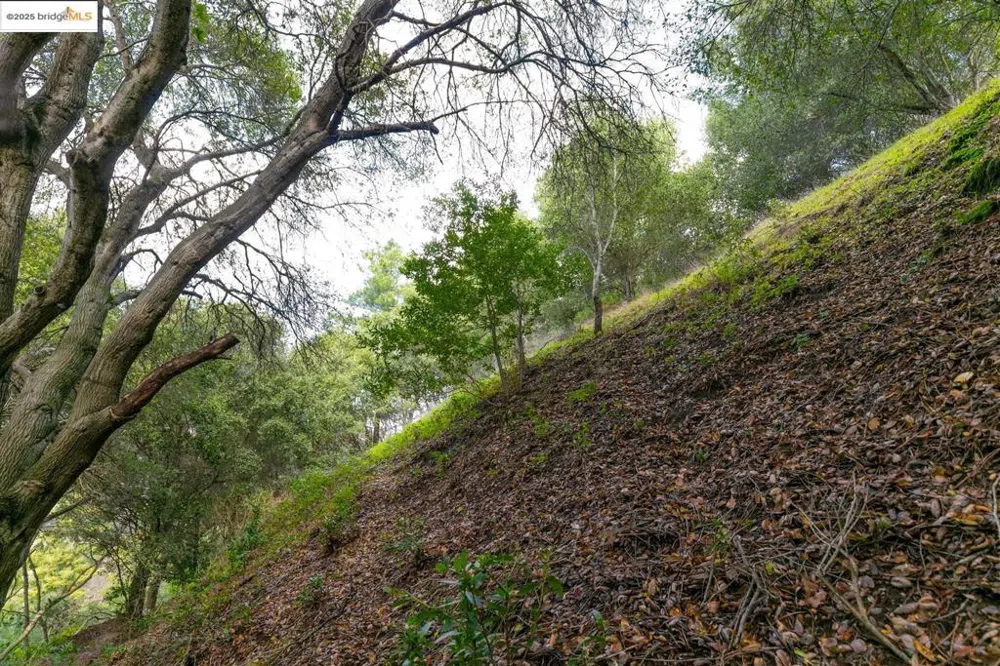 26 Lucille Way Orinda, CA 94563